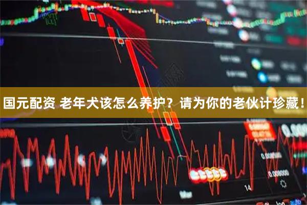 国元配资 老年犬该怎么养护？请为你的老伙计珍藏！